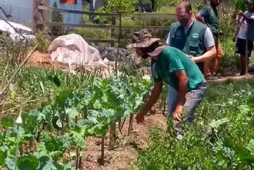 Aeronave-clandestina-pulveriza-veneno-sobre-sentamento-do-MST-em-Nova-Santa-Rita-fronteiralivre