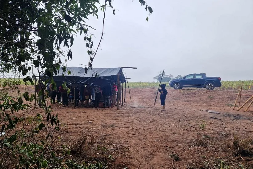 Indígenas Avá Guarani da Terra Indígena Guasu Guavira retomam parte de seu território. Em represália, foram atacados no último sábado (13) por um grupo de fazendeiros. Foto: Arquivo Cimi Sul