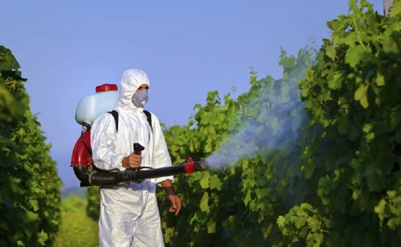 Práticas de uso de agrotóxicos no país aumenta os riscos à saúde - Foto: Divulgação