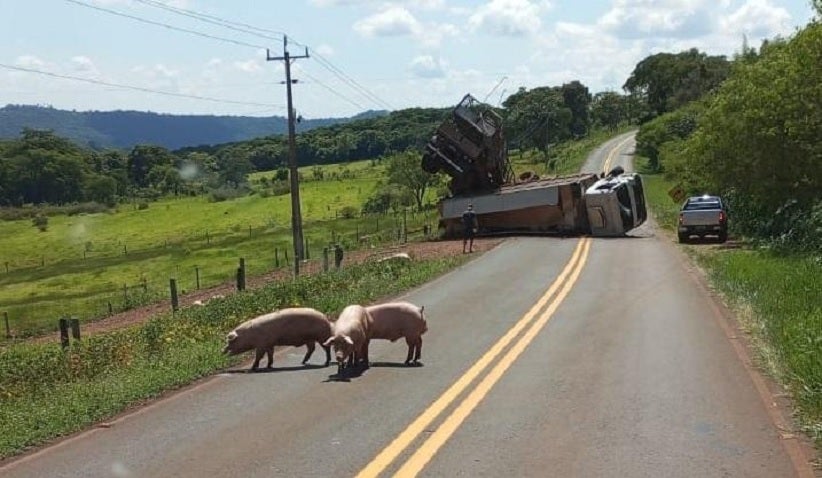 Foto: Coesta Oeste/Divulgação