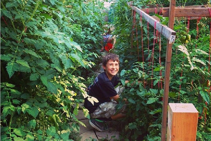 Fotos: @Oliver’sGardenProject