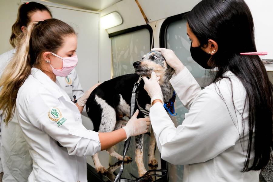 O ônibus foi doado pela Secretaria de Saúde e vai se deslocar para bairros com mais solicitações referentes a causa animal. Foto: Mileny Melo / PMM