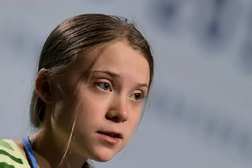 A ativista criticou o ministro por ele defender que o governo aproveite que o foco das atenções está na pandemia de Covid-19 para afrouxar normas de controle (Crédito: AFP)