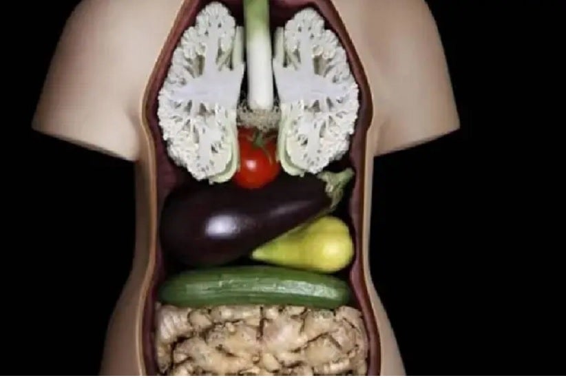 A aparência dos alimentos - Foto: Reprodução