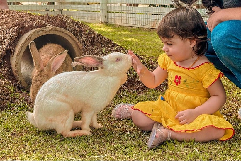 Foto: Divulgação/Dreams Park Show