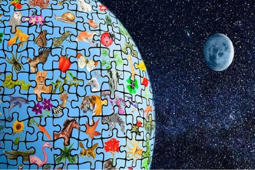 Qual a relação entre bem-estar humano, biodiversidade, pandemia e mudanças climáticasfronteiralivre