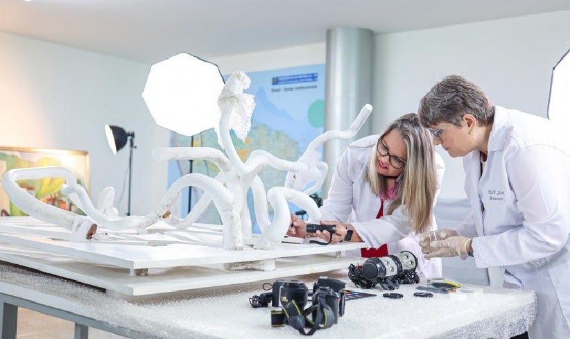 Especialistas em restauração atuam em laboratório no Palácio do Alvorada para recuperar obras danificadas em 8 de janeiro de 2023. Foto: Wallisson Breno / Audiovisual PR