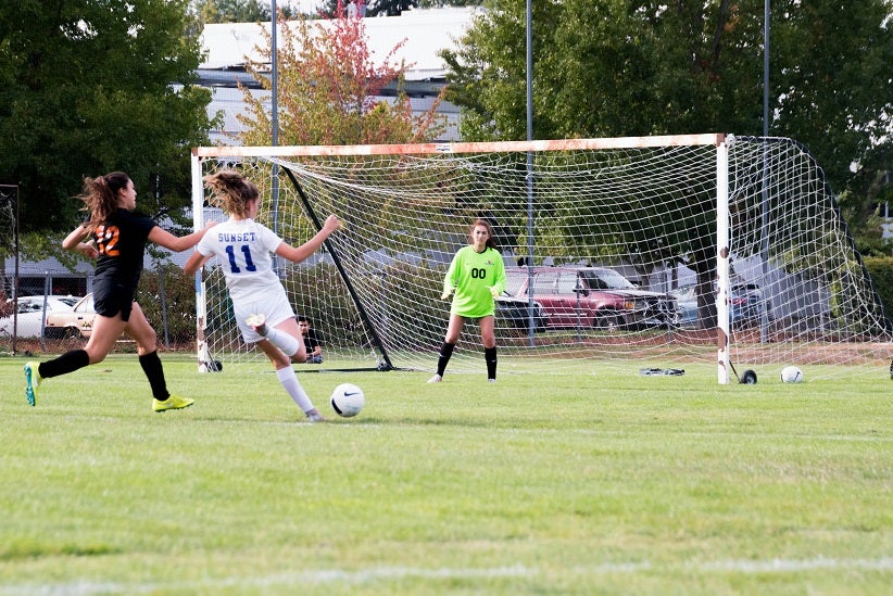 Foto: Ashley  Williams/Pexels