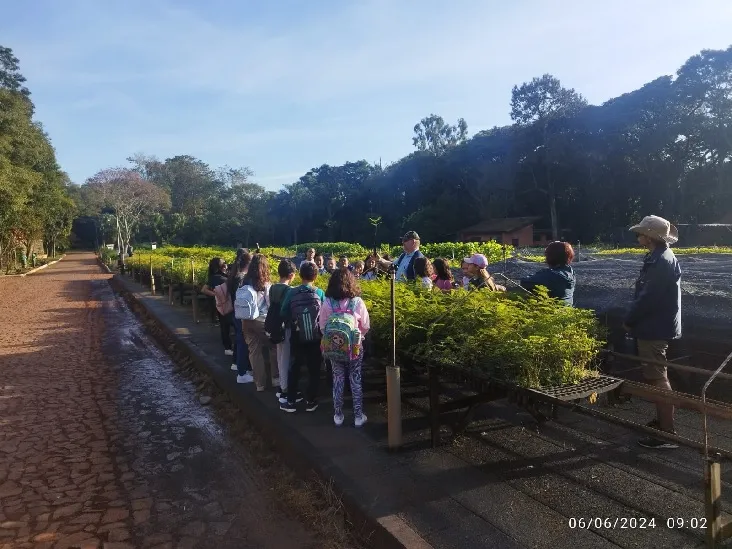 Fotos: Divulgação/ICC