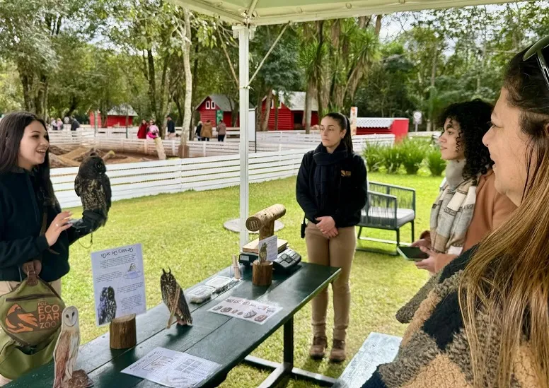 Foto: Divulgação/Dreams Eco Park