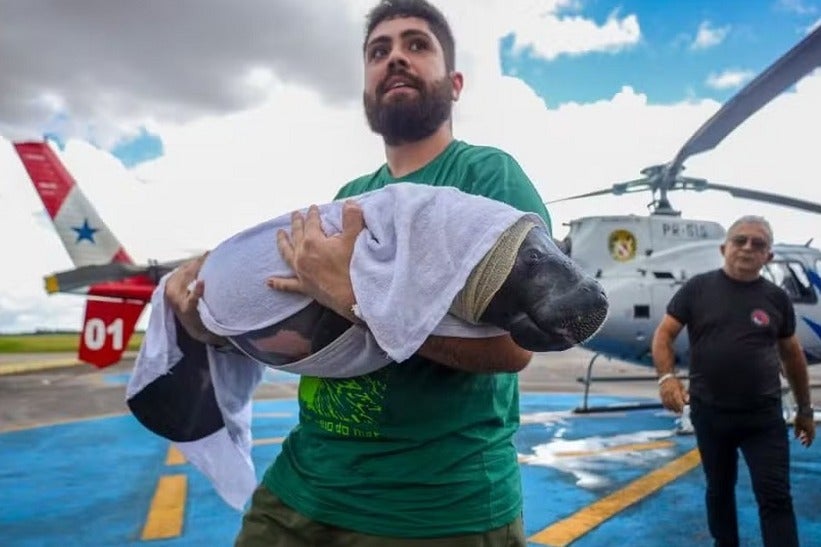 Foto: Divulgação/Eco Park Foz