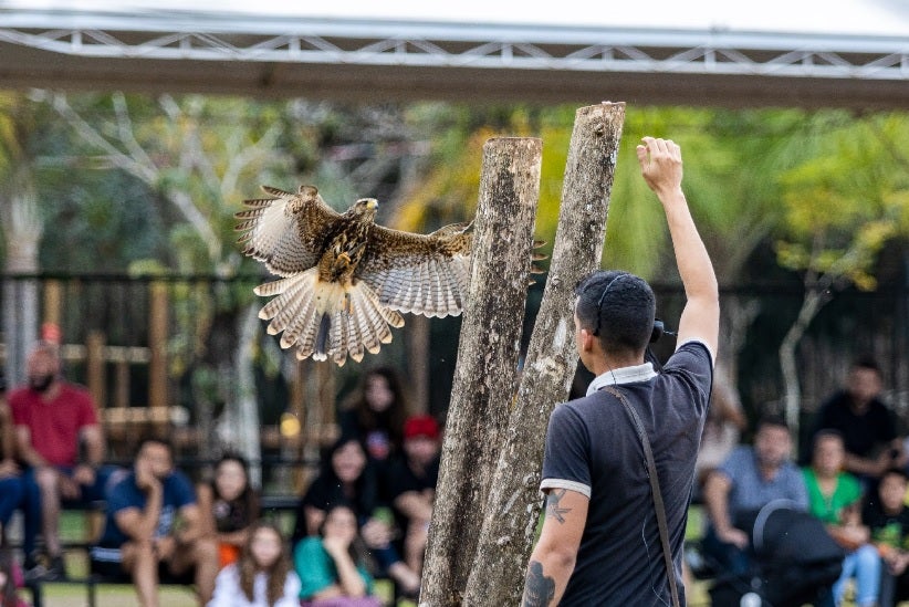 Foto: Divulgação/Dreams Park Show