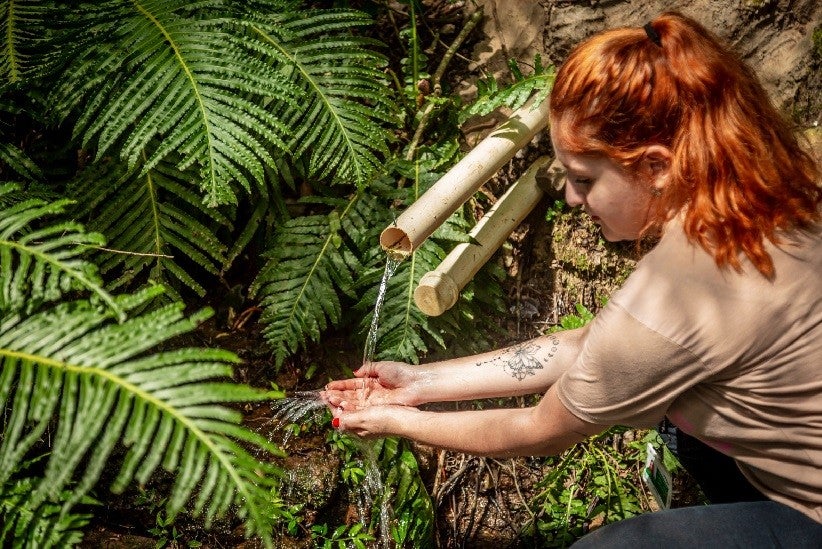 Recuperação de nascente: Edino Krug/Itaipu Binacional