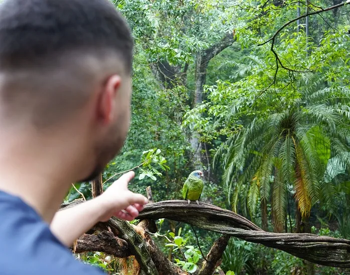Foto: Divulgação/Parque das Aves