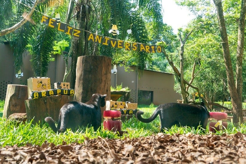Fotos: Sara Cheida / Itaipu Binacional