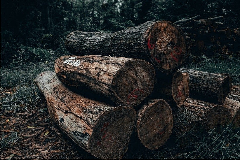 Foto: Sharad Bhat/Pexels