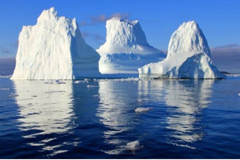 galhos-folhas-provam-que-a groenlãndia-area-florestal-era-do-gelo