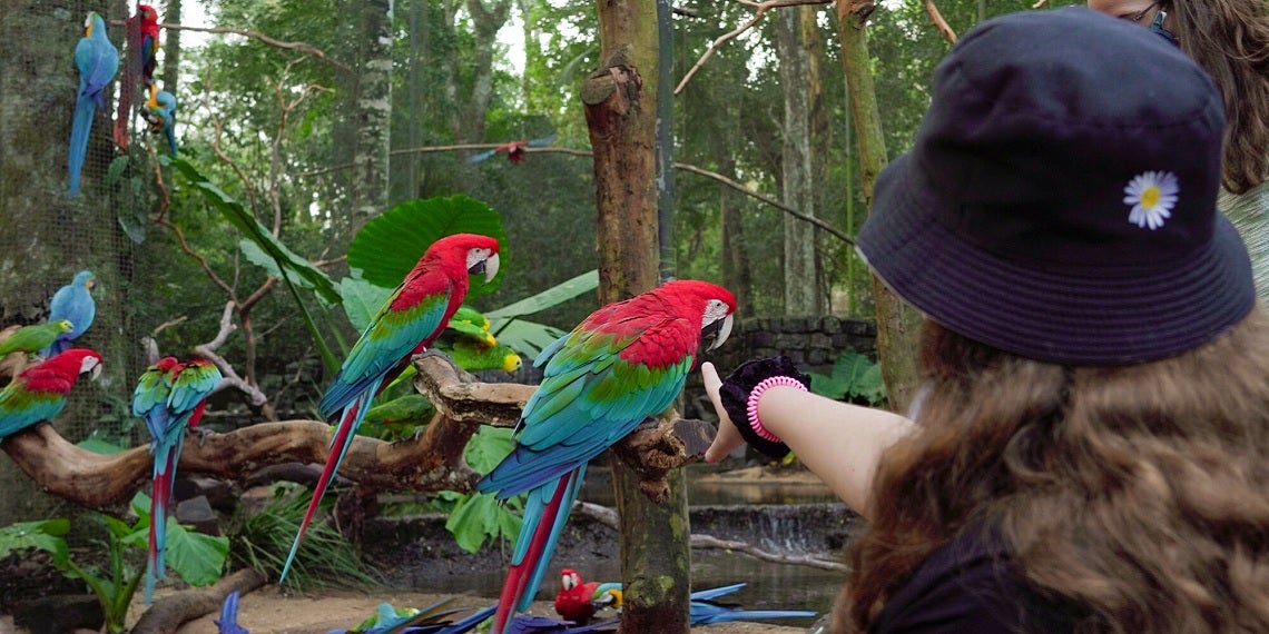 De cânions a aquários: Paraná amplia opções de turismo no feriado